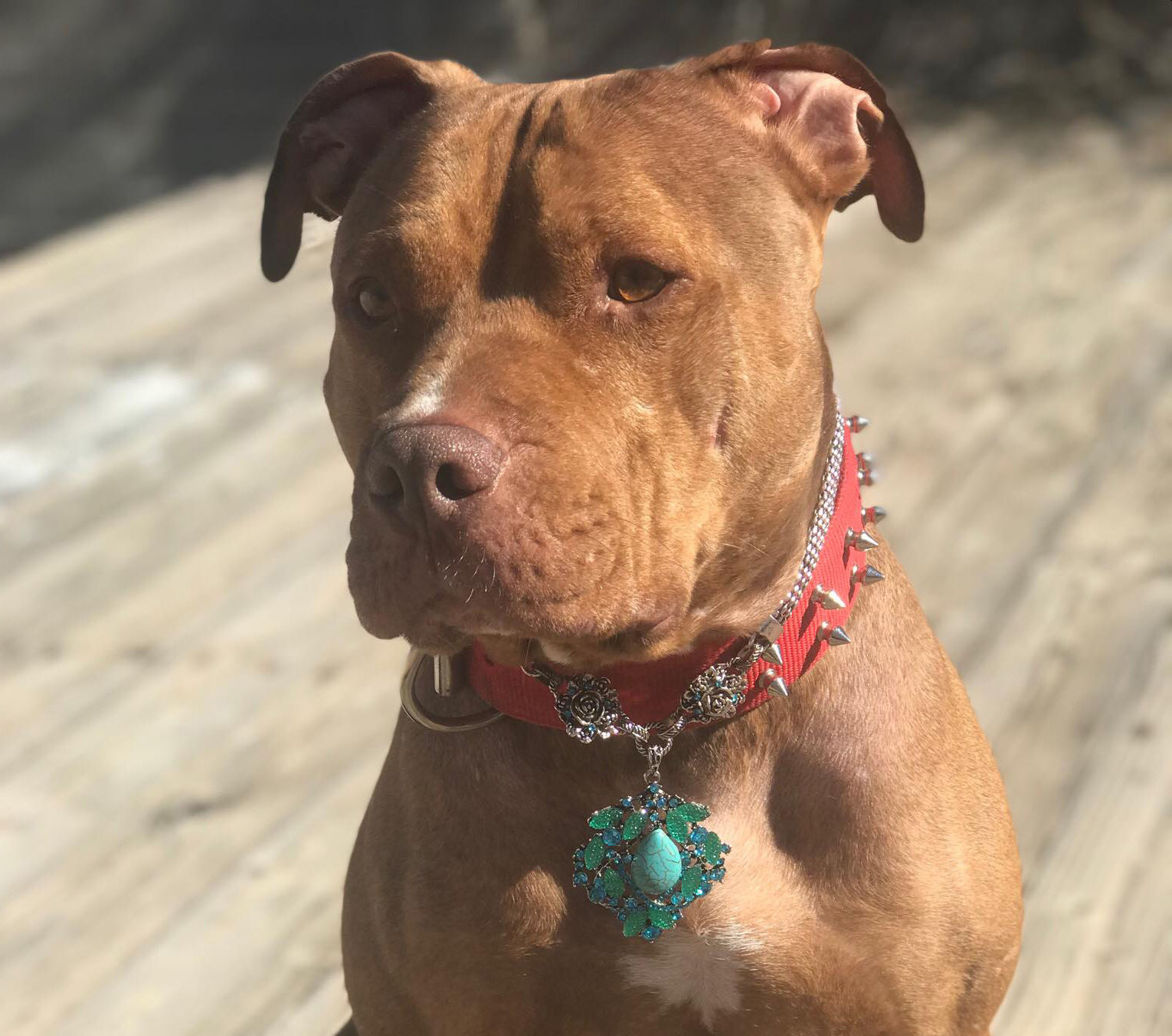 Rad Rescue